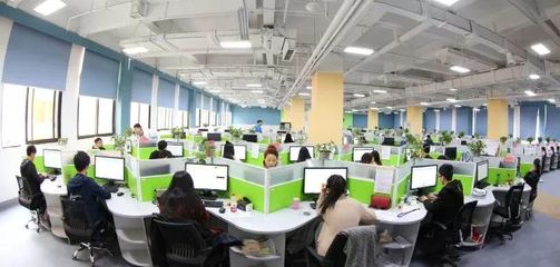 國家科技部火炬中心領導調研永川高新區，強調軟件技術服務創新驅動發展